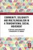 Community Solidarity and Multilingualism in a Transnational Social Movement