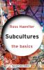 Subcultures: The Basics