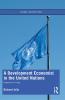 Development Economist in the United Nations
