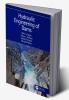 Hydraulic Engineering of Dams