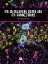 Developing Brain and its Connections