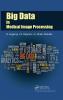 Big Data in Medical Image Processing