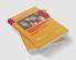 Silicon Nanomaterials Sourcebook