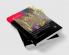 Routledge Handbook of Spanish in the Global City
