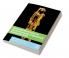 Introduction to Evolutionary Cognitive Archaeology