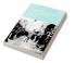 Comparative Politics of Latin America