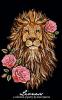 Lioness