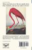 The Flamingo's Smile