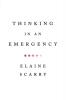 Thinking in an Emergency