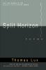 Split Horizon Pa