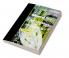 Advanced Data Communications and Networks