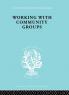 Working Comm Groups Ils 198