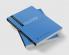Clinical Counselling in Pastoral Settings