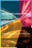 Media and Cultural Theory