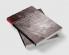 Epictetus' Handbook and the Tablet of Cebes