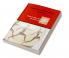 Managing Human Resources in Europe