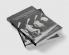 Historiography of Contemporary Science Technology and Medicine