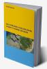 Salt Intrusion Tides and Mixing in Multi-Channel Estuaries