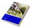 approach to medium-term coastal morphological modelling