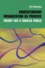 Understanding Organization as Process