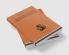 Economics in the Twentieth Century