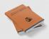 Positive Economics and Policy Objectives