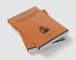 Papers on Welfare and Growth