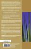 Understanding the Te Whariki Approach
