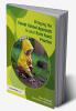 Bringing the Forest School Approach to your Early Years Practice