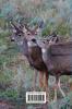 Kids Deer Journal