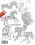 The Wonderful World of Horses - Adult Coloring / Colouring Book