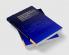 The Psychology of Abilities Competencies and Expertise