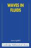 Waves in Fluids