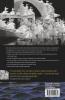 A History of Film Music