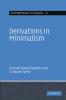 Derivations in Minimalism