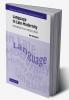 Language in Late Modernity