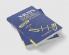X-Rays in Atomic and Nuclear Physics