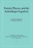 Particle Physics and the Schr Dinger Equation