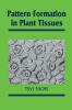 Pattern Formation in Plant Tissues