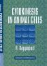 Cytokinesis in Animal Cells