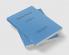 Positron Physics