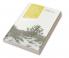 Ecological Communities and Processes in a Mojave Desert Ecosystem