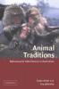 Animal Traditions