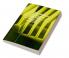 Sub-Half-Micron Lithography for Ulsis