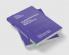 Computational Lexical Semantics