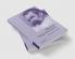 Nietzsche Biology and Metaphor