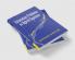 Estimation Problems in Hybrid Systems