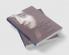 Locke Literary Criticism and Philosophy