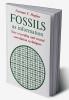 Fossils as Information