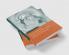 Modernist Fiction Cosmopolitanism and the Politics of Community